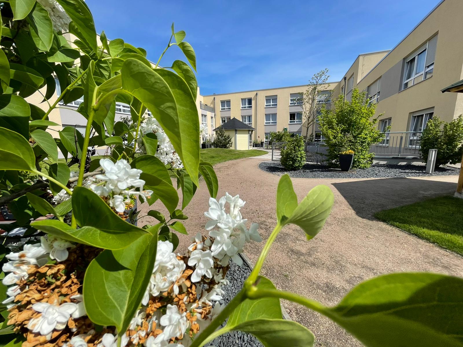 HANSA Pflegezentrum Brinkum (9)